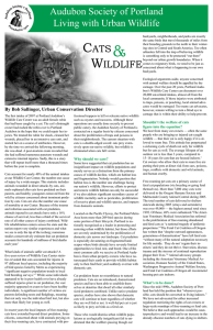 Audubon Society of Portland Living with Urban Wildlife CATS