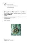 Biological control of root-knot nematodes (Meloidogyne spp.) by the