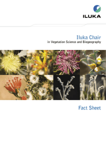 Iluka Chair Fact Sheet