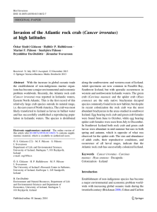 Invasion of the Atlantic rock crab (Cancer irroratus) at high latitudes