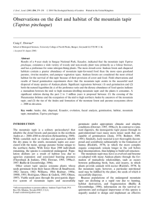 Observations on the diet and habitat of the mountain tapir (Tapirus