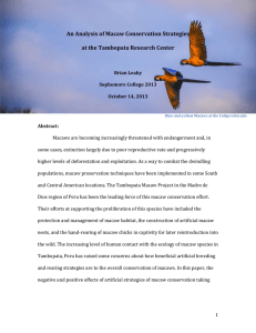 An Analysis of Macaw Conservation Strategies at the Tambopata