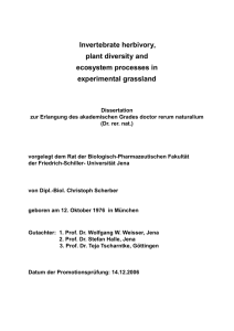 Invertebrate herbivory, plant diversity and ecosystem processes in