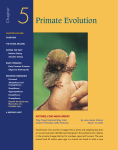 5 Primate Evolution Chapter