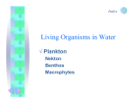 Living Organisms in Water √ Plankton Nekton Benthos