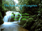 The Rain Forest Ecosystem =} Samantha Santillan Samantha McClung
