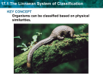 17.1 The Linnaean System of Classification