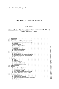 THE BIOLOGY OF PHORONIDA