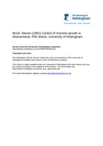 Bond, Steven (1991) Control of rhizome growth in Alstroemeria. PhD