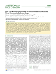 Root Uptake and Translocation of Perfluorinated Alkyl Acids by