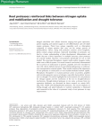 Root proteases: reinforced links between nitrogen uptake and