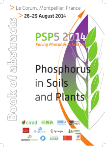 Facing Phosphorus Scarcity - Phosphorus in Soils and Plants