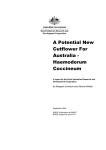 Haemodorum Coccineum - Publications