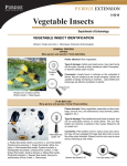 Vegetable Insects - Purdue Extension Entomology