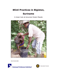 Winti Practices in Bigiston, Suriname