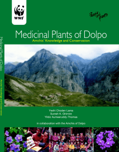 Medicinal Plants of Dolpo - Panda