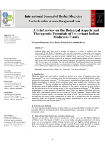 A brief review on the Botanical Aspects and Therapeutic Potentials