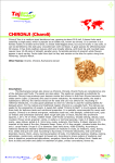 Chironji (charoli) Agro Products Manufacturers