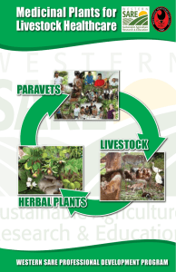 Medicinal Plants for Livestock Healthcare