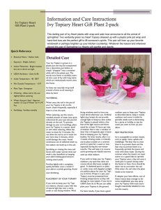 Costco Ivy Heart Care Instructions Pink Wrap