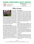 Lilacs - Cornell Cooperative Extension
