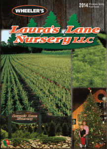Wholesale Spring Price Guide - Wheeler`s Laura`s Lane Nursery