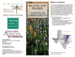 blackland prairie - North Texas Master Naturalist