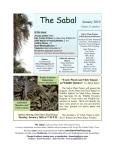 sabal jan 10 - Native Plant Project