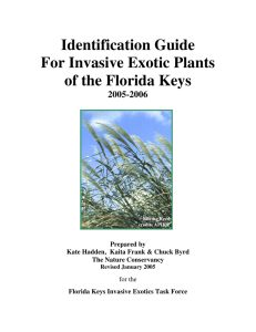 A Keys invasive plant guide - BugwoodCloud Content Delivery