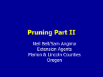 Pruning Part II - Oregon State University Extension Service