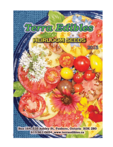 Tomatoes - Terra Edibles