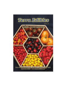 Tomatoes - Terra Edibles