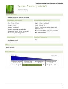 PDF view - Woody Plants Database