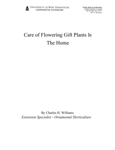 Care of Flowering Gift Plants In The Home - Extension