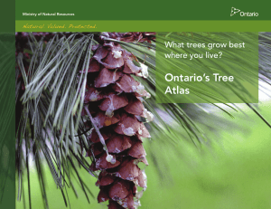 Ontario`s Tree Atlas