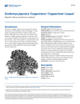 Eriobotrya japonica `Coppertone` - EDIS