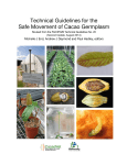 Technical guidelines for the safe movement of cacao germplasm