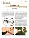 Field Crops - Purdue Extension Entomology