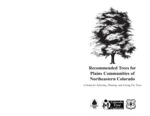Recommended trees for plains communities of northeastern Colorado