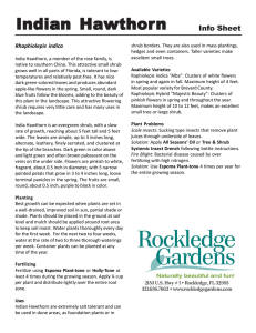 base form2 - Rockledge Gardens