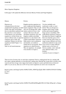 Micro Organism Kingdoms In this page I will explain the differences