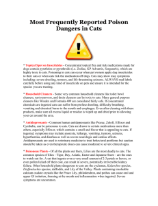 Most Frequently Reported Poison Dangers in Cats