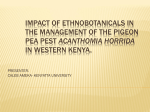 IMPACT OF ETHNOBOTANICALS IN THE MANAGEMENT OF THE