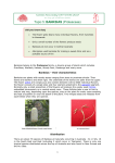 Topic 5: BANKSIAS (Proteaceae)