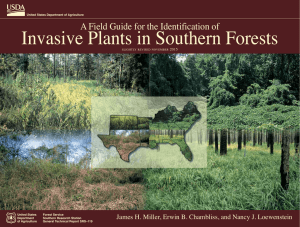 Invasive Plants in Southern Forests