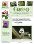 Gleanings 10-13 - Heart of Jacksonville African Violet Society