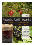 Wild Berries and Other Wild Fruit