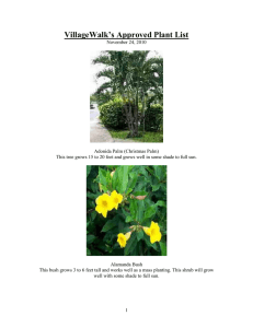 VillageWalk`s Approved Plant List