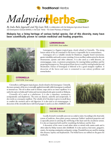 Malaysian Herbs Series 2