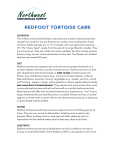 OVERVIEW The redfoot tortoise (Chelonoidis carbonaria) is a